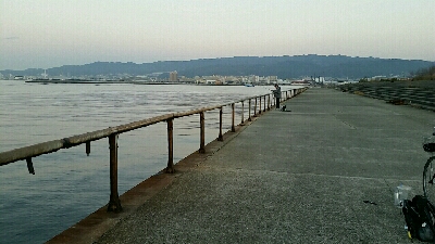 久々にホームへ。渋い状況ながら1匹ゲット！